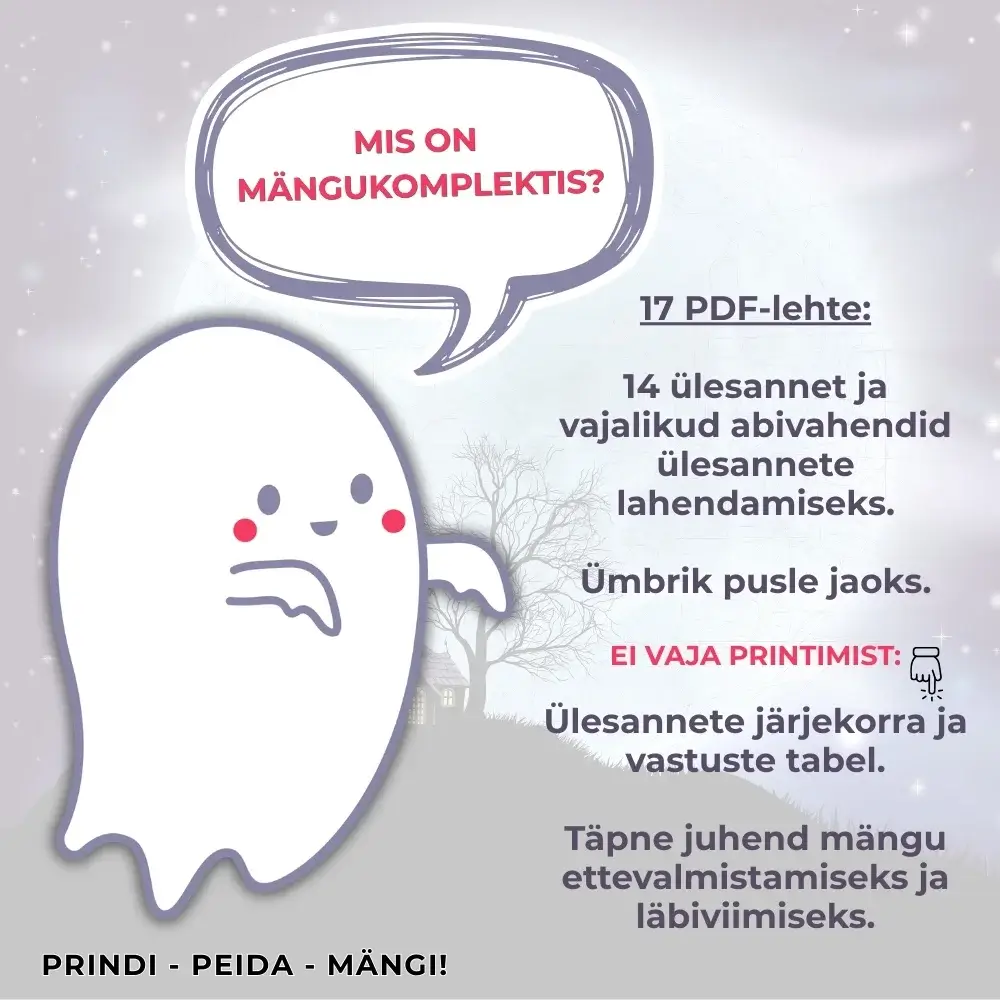 Kummitus euroke aardejaht sisu
